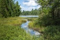 Creek into Peck Lake Algonquin Royalty Free Stock Photo