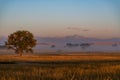 Beautiful Morning on the Plains of Colorado