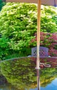 Reflections of acers in a patio table Royalty Free Stock Photo