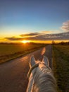 Beautiful morning ride on my horse