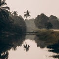 Beautiful morning scenery in Kelanang Village, Kuala Langat, Malaysia Royalty Free Stock Photo