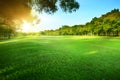 Beautiful morning sun shining light in public park with green gr Royalty Free Stock Photo