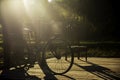 The beautiful morning sun is shining on an old ladies bicycle in garden. Vintage faded look with backlighting rim lighting