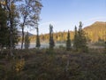 Beautiful morning sunrise over lake Sjabatjakjaure with haze mist in Sweden Lapland nature. Mountains, birch trees, spruce forest Royalty Free Stock Photo