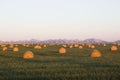Beautiful morning sunrise shining on hay bales with mountains in the distance. Royalty Free Stock Photo