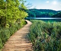 Beautiful morning view of Plitvice National Park. Sunny spring scene of green forest with pure water lake. Marvelous countryside Royalty Free Stock Photo