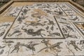 Beautiful mosaic floor with sea animals in the ruins of the houses of Neptune in the ancient Roman city of Italica