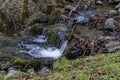 Beautiful Motion Blurred Water Stream Landscape In The Winter Forest Close Up, Vitosha Mountain
