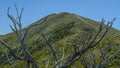 Beautiful Mount Feathertop in Australia on a sunny day