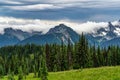 Beautiful Mount Rainier National Park in USA. Scenic view of spruce forest and mountain under clouds Royalty Free Stock Photo