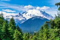Beautiful Mount Rainier National Park in USA. Scenic view of spruce forest and snowy mountains Royalty Free Stock Photo