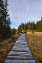 Mountain autumn landscape in Bucegi Mountains Romania Royalty Free Stock Photo