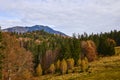 Mountain autumn landscape in Bucegi Mountains Romania Royalty Free Stock Photo