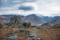 Beautiful mountain autumn landscape vith view on rock stones and lake