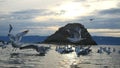 Beautiful Mountain Baikal Lake. Sunset over the mountain peaks and flying graceful gulls