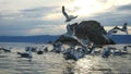 Beautiful Mountain Baikal Lake. Sunset over the mountain peaks and flying elegant gulls