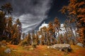 Beautiful mountain forest against blue sky background Royalty Free Stock Photo