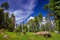 Beautiful mountain forest against blue sky background Royalty Free Stock Photo