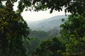 Beautiful mountain and forest in india ,assam Royalty Free Stock Photo