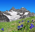 Beautiful mountain Gabelhorn Royalty Free Stock Photo