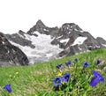 Beautiful mountain Gabelhorn , Switzerland Royalty Free Stock Photo