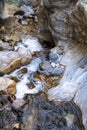 A beautiful mountain gorge with a river and a waterfall