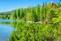Beautiful mountain lake with dwarf pine Royalty Free Stock Photo
