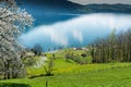 Beautiful mountain and lake landscape in the springtime with flowers and blossoming trees Royalty Free Stock Photo