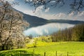 Beautiful mountain and lake landscape in the springtime with flowers and blossoming trees Royalty Free Stock Photo