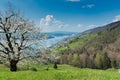 Beautiful mountain and lake landscape in the springtime with flowers and blossoming trees Royalty Free Stock Photo