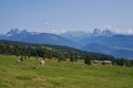 Beautiful Mountain Landscape in the Alps. Cows on Fields and Dolomites