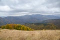 View on high mountains covered with colorfull trees, autumn season, beautiful nature of Carpathians, Ukraine