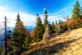 Beautiful mountain landscape, autumn meadows and trees. Royalty Free Stock Photo