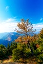 Beautiful mountain landscape, autumn meadows and trees. Royalty Free Stock Photo