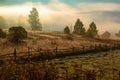 Beautiful mountain landscape in autumn morning near Rodnei Mountains National Park, Romania Royalty Free Stock Photo