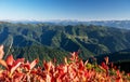 Beautiful mountain landscape with color trees, blue sky and snow peaks in sunny day.