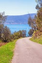 Beautiful mountain landscape with country road near olive trees. Montenegro, Bay of Kotor Royalty Free Stock Photo