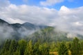 Beautiful mountain landscape with fog. Summer morning in the Carpathians