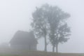 Beautiful mountain landscape of a foggy morning with and old house and trees Royalty Free Stock Photo