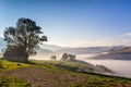 Beautiful mountain landscape of a foggy morning with old houses and trees Royalty Free Stock Photo