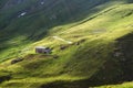 Beautiful mountain landscape. Green Alpine meadows, mountain house. Cows graze in the fields. Journey concept. Alps, France