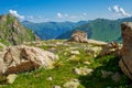 Mountain landscape with green slopes and flowers Royalty Free Stock Photo