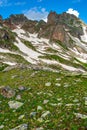 Beautiful mountain landscape with green slopes, flowers and snow Royalty Free Stock Photo