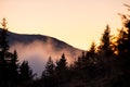 Beautiful mountain landscape with hazy peaks and foggy wooded valley at sunset Royalty Free Stock Photo