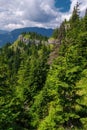 Beautiful mountain landscape with hills, green meadows and spruce trees. Royalty Free Stock Photo