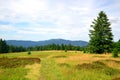 Beautiful mountain landscape in the national park Sumava. Czech Republic. Royalty Free Stock Photo