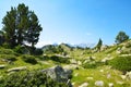 Neouvielle national nature reserve, French Pyrenees.