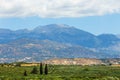 Beautiful mountain landscape with olive plantation, Crete