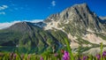 Beautiful mountain landscape of Sonamarg, Jammu and Kashmir state,