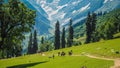 Beautiful mountain landscape of Sonamarg, Jammu and Kashmir state, Royalty Free Stock Photo